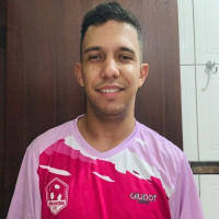 GABRIEL DE ARAúJO VIEIRA