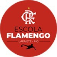 ESCOLA FLAMENGO LAFAIETE S7 D