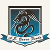 BARRA FUNDA SUB 17