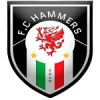 FC HAMMERS