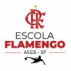 FLAMENGO ASSIS SUB 11