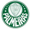 PALMEIRAS PANAMBY SUB 17