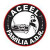 ACEEL - ADR